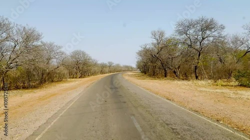 Driving on a road in Chobe national park, Botswana, African savannah landscape