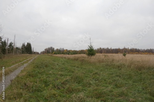 Reinhardswald, Germany - 11 17 2024: Future location of the wind turbine WEA02 in the Reinhardswald wind farm. Original condition before development. photo