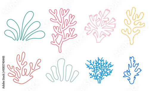 Seaweed alga marine sea plant aquatic reef isolated set. Vector flat graphic design illustration