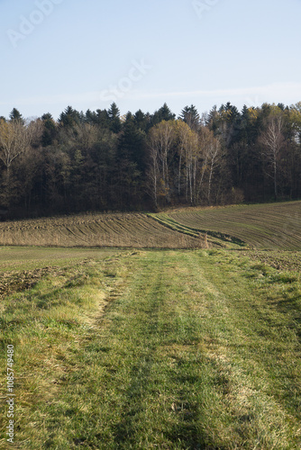 Autumn in farm fields in hilly terrain