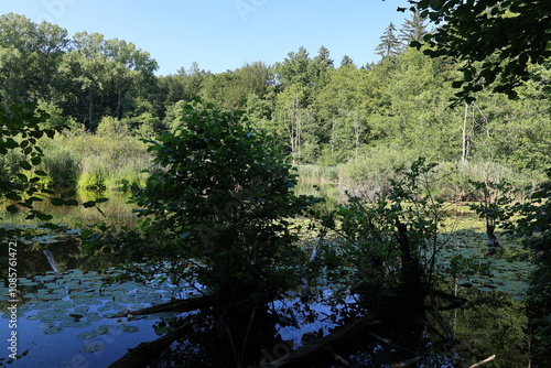 Blick auf den oberen Hartsee in der Gemeinde Gottmadingen in Baden-Württemberg photo