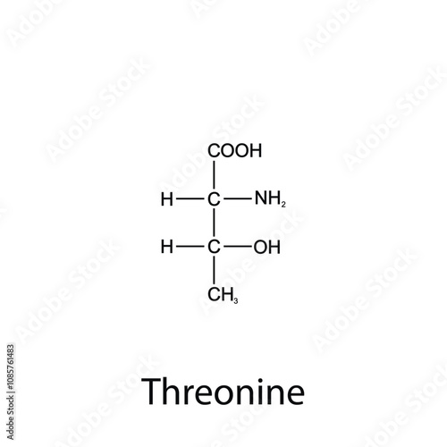 Chemical formula of threonine. Essential amino acids. Organic chemistry. Vector.