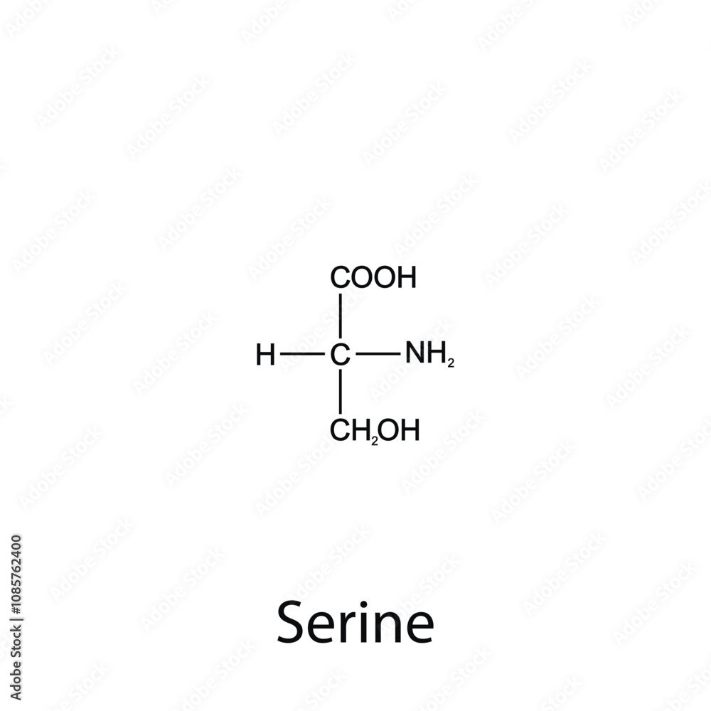 Chemical formula of serine. Essential amino acids. Organic chemistry. Vector. Chemical formula of serine. Essential amino acids. Organic chemistry. Vector.