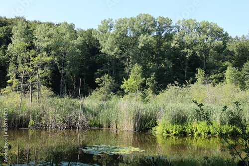 Blick auf den oberen Hartsee in der Gemeinde Gottmadingen in Baden-Württemberg photo