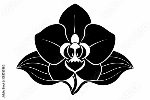 Orchid flower silhouette, Orchid flower vector icon isolated on white background.