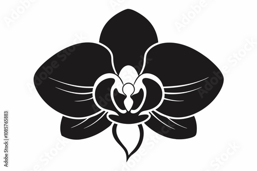 Orchid flower silhouette, Orchid flower vector icon isolated on white background.