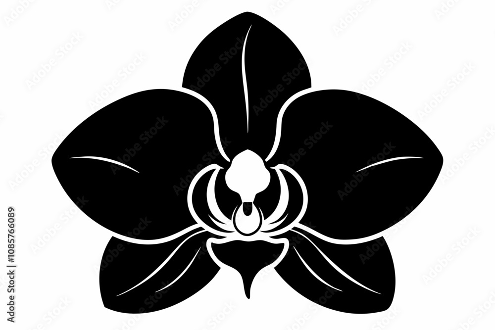 Orchid flower silhouette, Orchid flower vector icon isolated on white background. Orchid flower silhouette, Orchid flower vector icon isolated on white background.