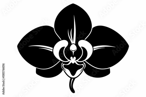 Orchid flower silhouette, Orchid flower vector icon isolated on white background.