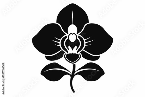 Orchid flower silhouette, Orchid flower vector icon isolated on white background.