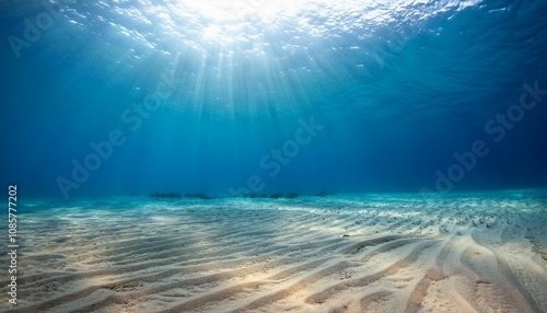 sunlight illuminates a sandy ocean floor