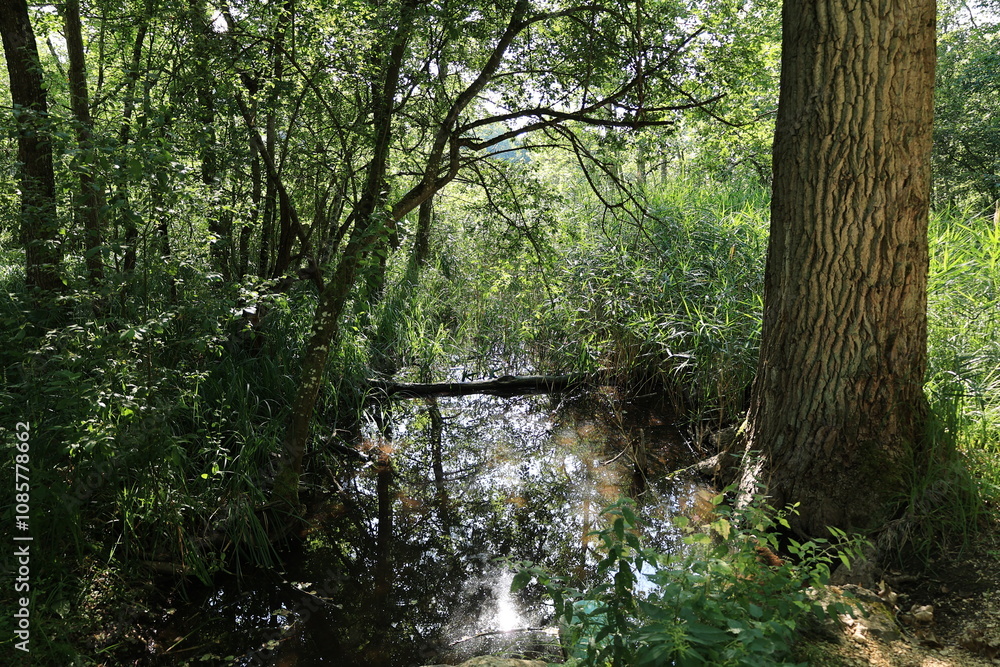Blick auf den oberen Hartsee in der Gemeinde Gottmadingen in Baden-Württemberg Blick auf den oberen Hartsee in der Gemeinde Gottmadingen in Baden-Württemberg