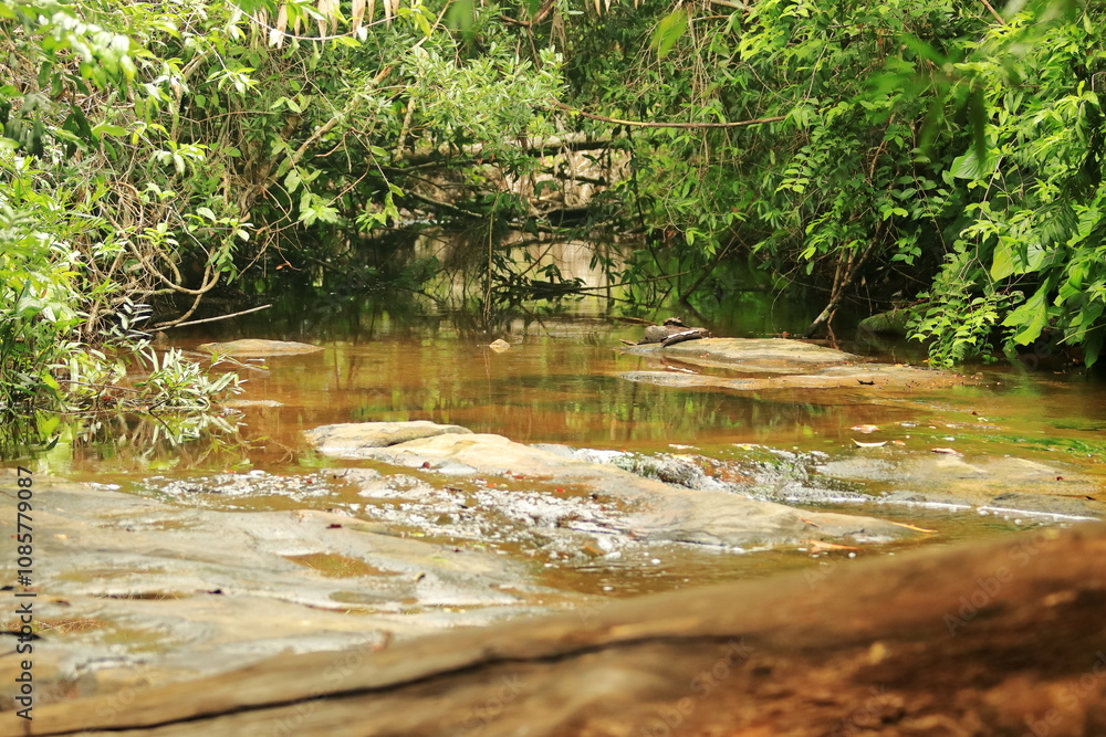 Whispers of the Mountain Stream Whispers of the Mountain Stream