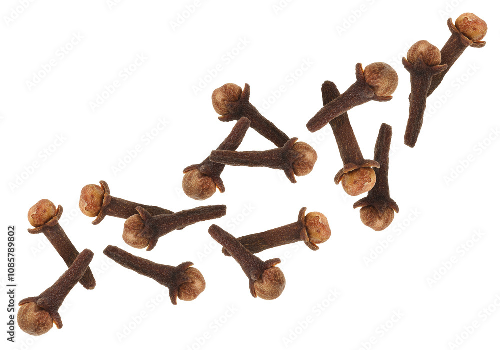 Clove buds in air on white background. Aromatic spice Clove buds in air on white background. Aromatic spice