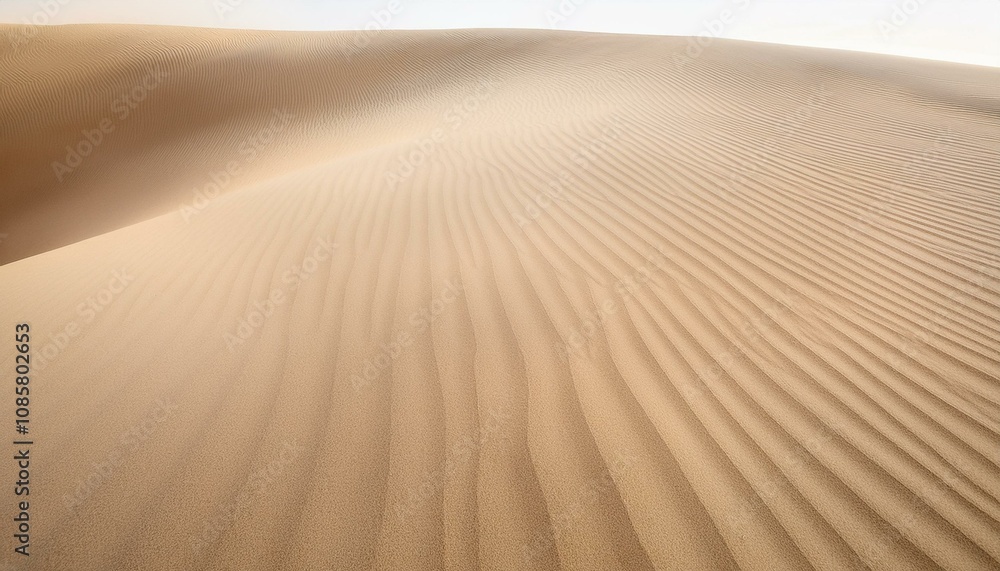 Expansive desert dunes, textured by wind. Warm beige tones dominate the scene. Expansive desert dunes, textured by wind. Warm beige tones dominate the scene.