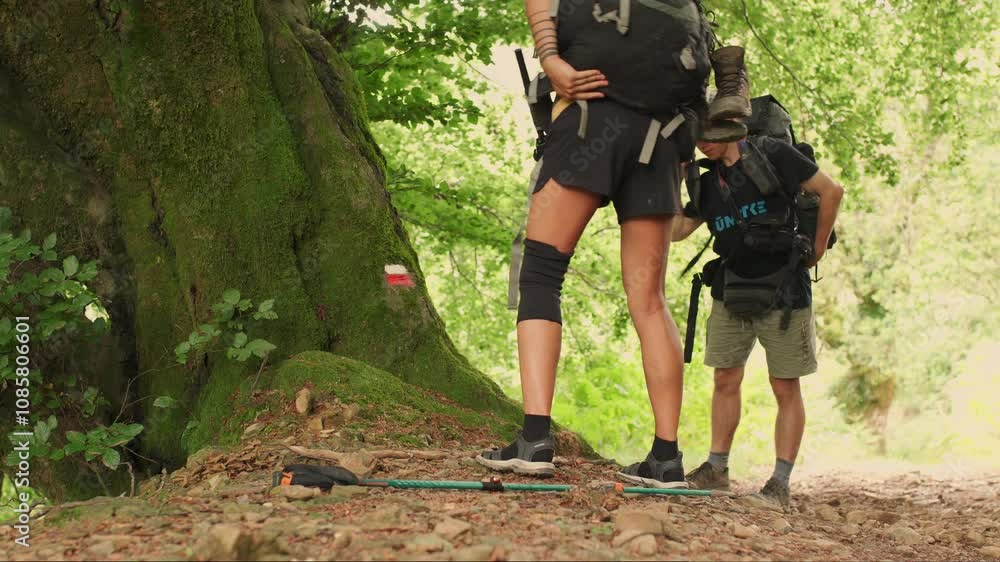 A hiker with a large backpack carefully makes his way over a forest trail A hiker with a large backpack carefully makes his way over a forest trail