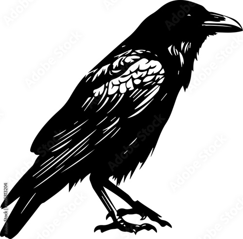 vector animal illustration, logo, black silhouette of a crow photo