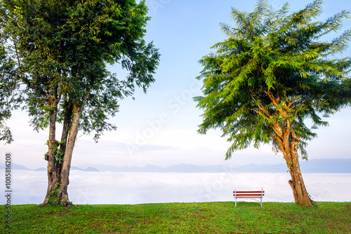 Landscape view of empty sit back chair place between the trees for see or rest at view point of misty fog over the mountain valley.