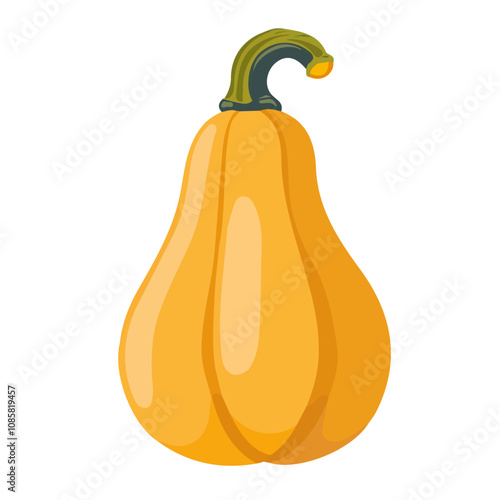 Simple flat 2D icon butternut squash isolated on a transparent background, vector, flat design, animation design, vector, flat design, animation design, simple flat 2D icon, icon