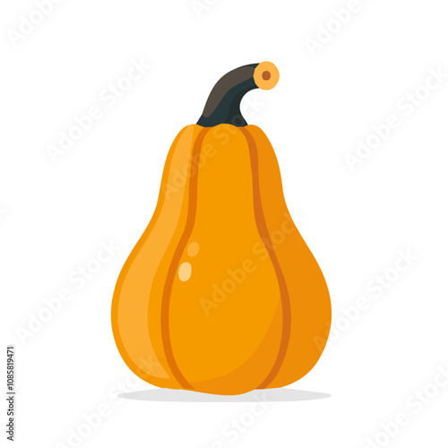 Simple flat 2D icon butternut squash isolated on a transparent background, vector, flat design, animation design, vector, flat design, animation design, simple flat 2D icon