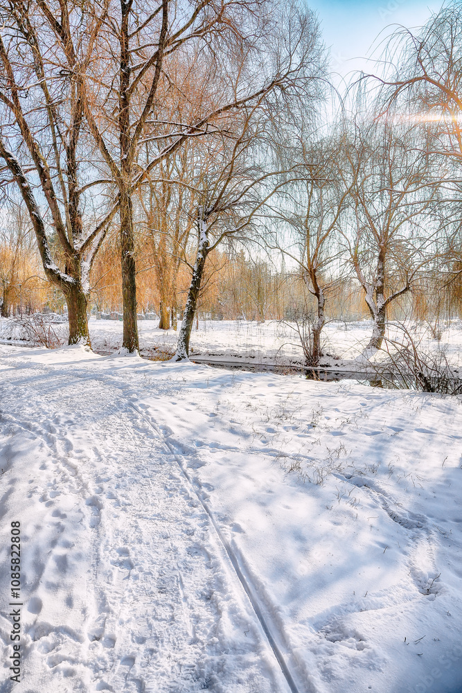 Breathtaking landscape in city park with snowy trees and lots of snow Breathtaking landscape in city park with snowy trees and lots of snow