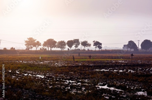 landscape in the country