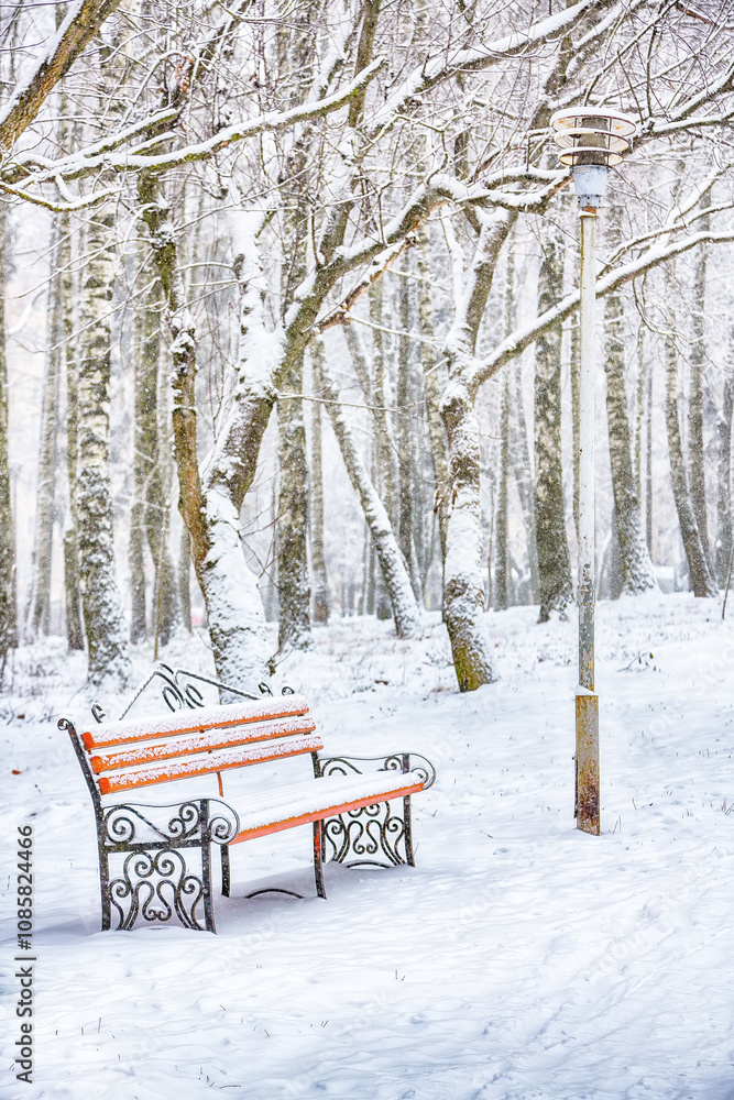 custom made wallpaper toronto digitalAstonishing view of park bench and trees covered by heavy snow.