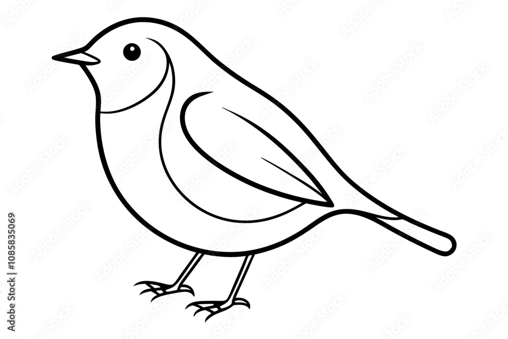 Fototapeta premium Elegant Line Drawing of a Robin Minimalist Vector Art Illustration