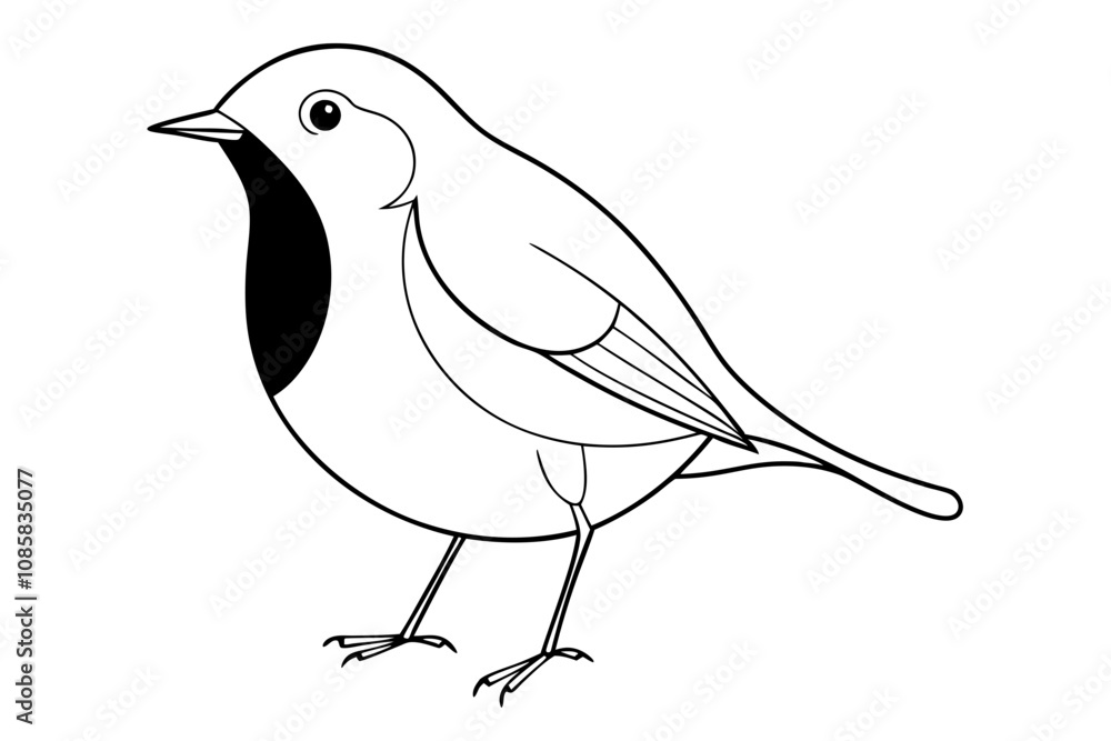Obraz premium Elegant Line Drawing of a Robin Minimalist Vector Art Illustration