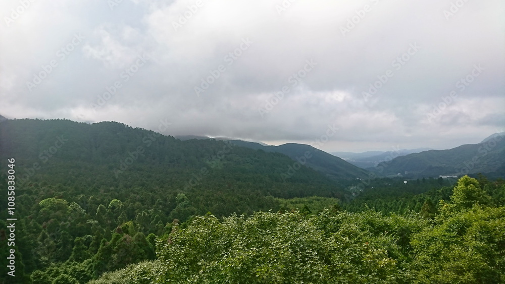 Fototapeta premium Nantou, Taiwan - 8.10.2018: A breathtaking view of rolling forested hills blanketed by an overcast sky, evoking serenity and natural beauty in the Xitou Nature Education Area