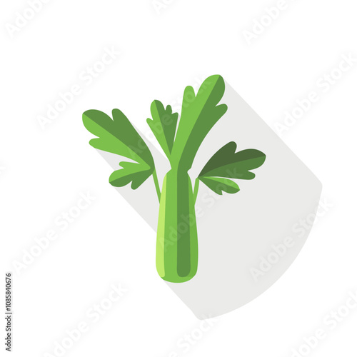 Simple flat 2D illustration of a celery isolated on a white background, vector 2D design, icon, vector vegetables 