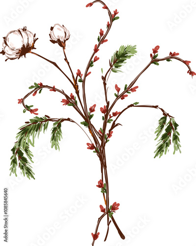 Hand drswn Winter flower botanical Illustration Elemet photo