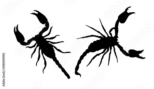 Scorpio insect zodiac sign, Silhouette Of A Scorpion, Scorpio Tattoo. Hand drawing. Not AI, Vector illustration