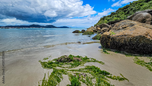 Moss on rocks in the calm sea on Ilha do Campeche in Brazil. Amazing beach during sunrise in Florianópolis. View of a paradisiacal and calm sea with emerald water and abundant vegetation.