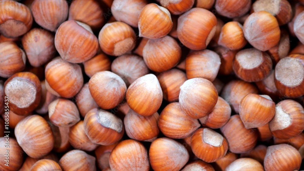 Nut texture Brown shell hazelnut. hazelnuts close-up Nut texture Brown shell hazelnut. hazelnuts close-up