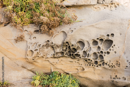 Weathered coastal sandstone rock on stone coastline in sunny morning