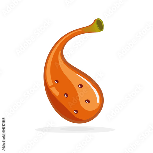 Simple flat 2D illustration of gallbladder isolated on a white background, Ai design, flat 2D design