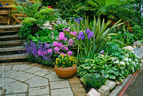 Colourful patio with container and flowering plants