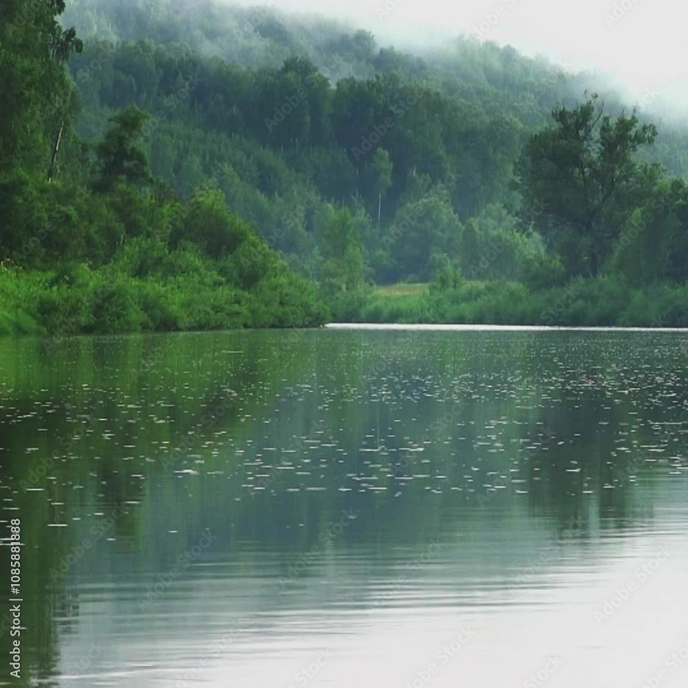 beautiful dauw edged with fresh green trees beautiful dauw edged with fresh green trees