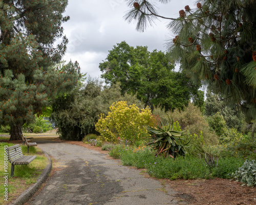 Path to a garden with Aloe,  other flowers at the UC Davis arboretum in the spring, on a parttly cloudy day