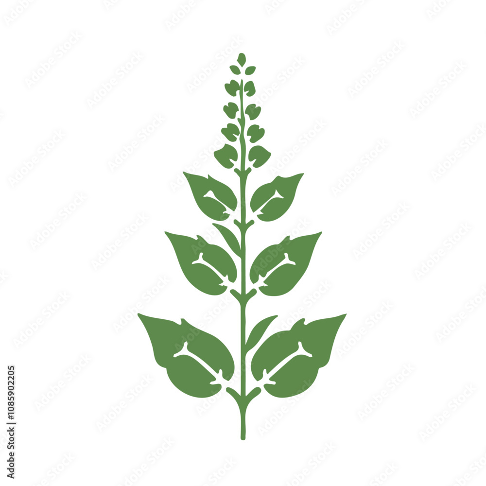 Fototapeta premium Simple flat 2D illustration of a holy basil tulsi isolated on a white background, vector 2D design, icon