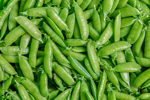 Picked sweet garden pea pods, plant texture for background.