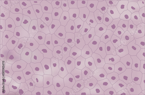 Human skin cells under microscope, magnified seamless pattern of skin
