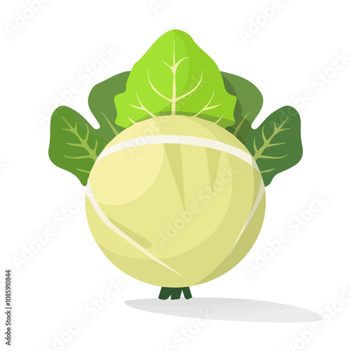 Simple flat 2D illustration of a kohlrabi isolated on a white background, vector 2D design, icon