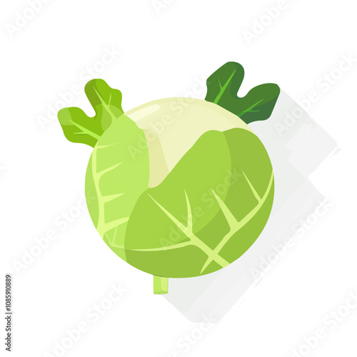 Simple flat 2D illustration of a kohlrabi isolated on a white background, vector 2D design, icon