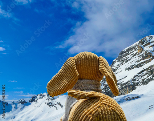 Plüschhund Kuscheltier auf Zugspitze Deutschland