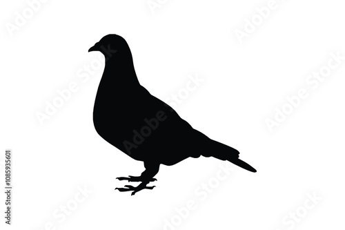 pigeon silhouette free vector isolated on white background