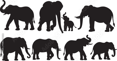 silhouettes of elephants