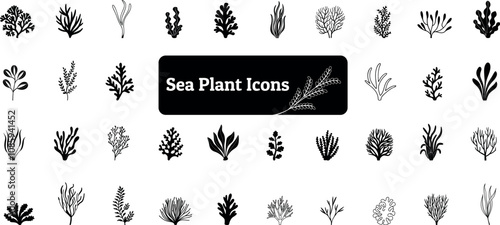 Sea Plant Icon Pack, Sea Tree, Water Plant 