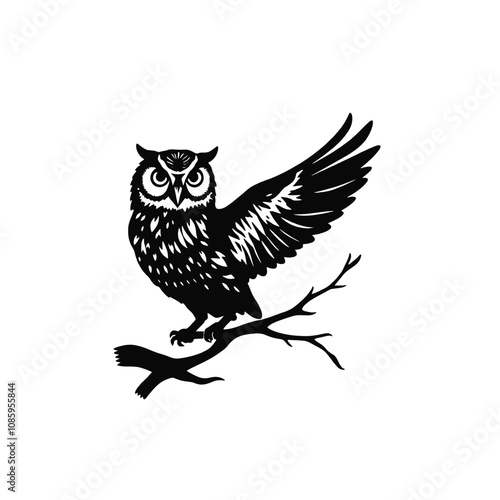 Silhouette Owl  ,vector black color silohoutte on a white backgaround photo