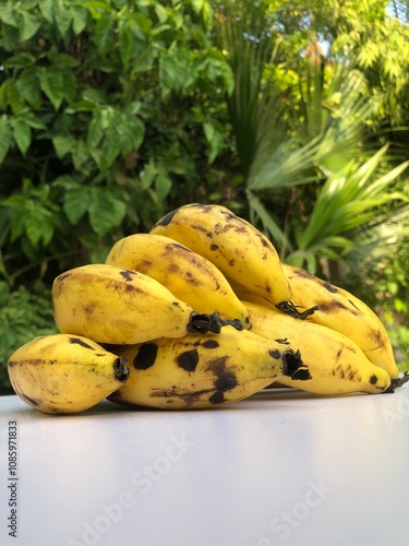 bananas on a white bunch of bananas  photo